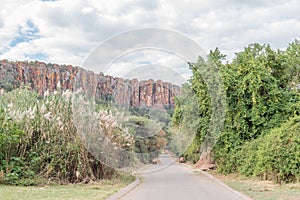 View of the Waterberg Plateau near Otjiwarongo