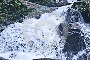 view of a waterfall in a dense forest