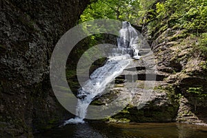 View of waterfall flowing from rocks in forest