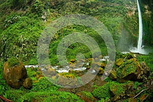 View of waterfall and greenish forest landscape