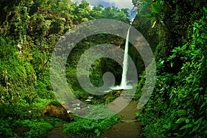 View of waterfall and greenish forest landscape