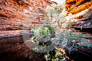 View of the waterhole in the garden of eden in Kings Canyon in outback Australia