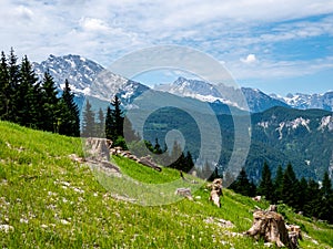 View of the Watzmann in the Berchtesgaden Alps