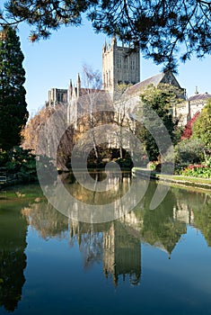 View of Wells Cathedral reflected in Wells Pool in the gardens at The Bishop`s Palace in Wells, Somerset UK.
