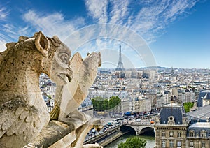 View of western part of Paris from Cathedral Notre-Dame