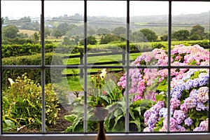 View at the wet morning garden from inside through the large window.