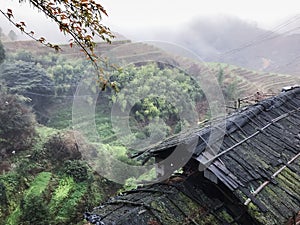 view of wet shed and terraced fields from Tiantou