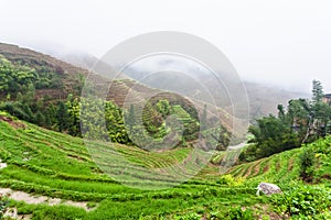 view of wet terraced rice fields under clouds