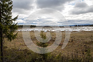 View of wetland in Harjedalen Sweden