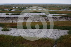 The view of the wetland in the winter