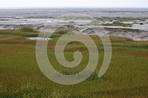 The view of the wetland in the winter