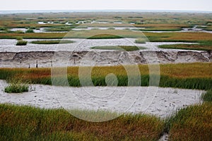 The view of the wetland in the winter