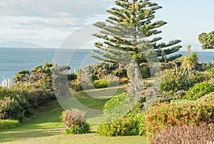 View from Whangaparaoa Peninsula with grass, trees and shrubs