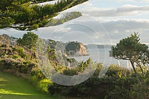 View from Whangaparaoa Peninsula with grass, trees and shrubs