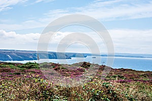 View from Wheal Coates