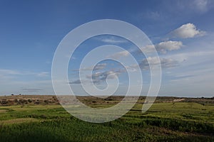 View of wheat fields and blue sky