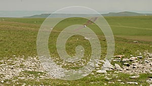 View of white bus moving on green surface of plateau Bermamyth. country road.