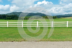 View of White fence on grass garden