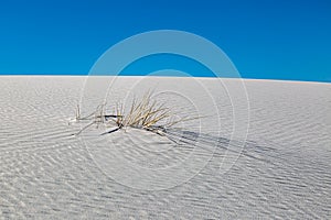 A View in White Sands National Park in New Mexico, with a Blue Sky Overhead