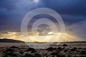 View on white sandy dunes near Corallejo beach at winter, Fuerteventura, Canary islands, Spain