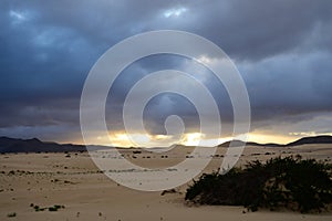 View on white sandy dunes near Corallejo beach at winter, Fuerteventura, Canary islands, Spain