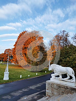 View of the white sculpture of a lion, an oil meadow, a beautiful lantern, a  pavilion and trees with autumn leaves in the park