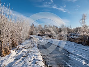 View of white winter landscape with trees covered with snow, frozen puddle and country road after a heavy snowfall