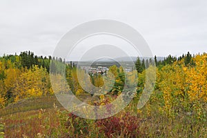 View of Whitehorse Airport Trail