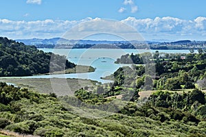 View of Whitford estuary with mangroves