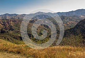 View Within Whiting Ranch Wilderness Park