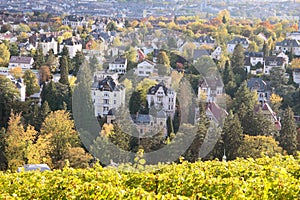 View of Wiesbaden photo