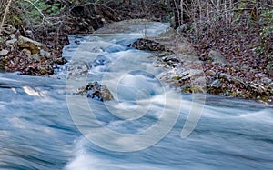 View of Wild Mountain Trout Streams