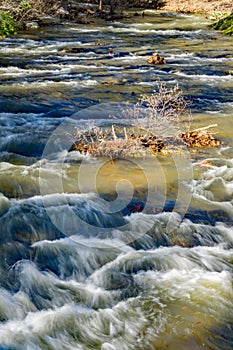 View of a Wild Trout Streams