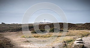 View of the wild vegetation of the cross of the tip of Chatelet on the island of Yeu