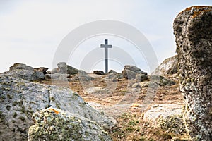 View of the wild vegetation of the cross of the tip of Chatelet on the island of Yeu