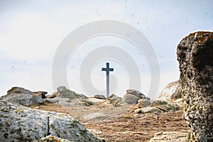 View of the wild vegetation of the cross of the tip of Chatelet on the island of Yeu