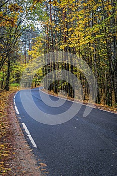 View of winding road