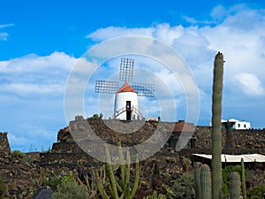 Popular Jardin de Cactus, Lanzarote, Spain photo