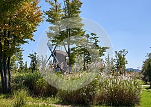View of windmill surrounded by trees and silver grass at Suncheonman National Garden in South Korea