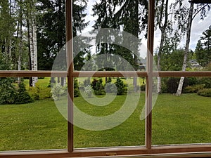 View from the window