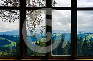 View from the window high in the mountains. Outside the window is a branch of ash, tall ancient trees and mountain ranges