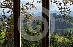 View from the window high in the mountains. Outside the window is a branch of ash, tall ancient trees and mountain ranges