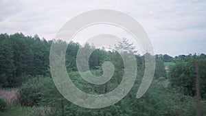 view from window of high-speed train on landscape of beautiful nature wild field and forest on evening cloudy clean