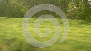 view from window of high-speed train on landscape of beautiful nature wild field and forest on evening cloudy dusk sky