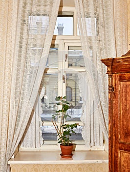 view from the window of old house. vintage curtains, a pot of geraniums