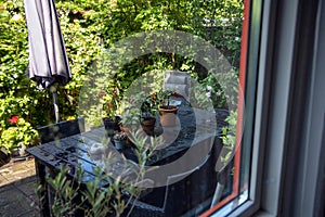 View from the window to the garden in the summer on a rainy day. Raindrops on the window glass.