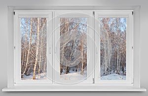 View from the window to the winter birch forest