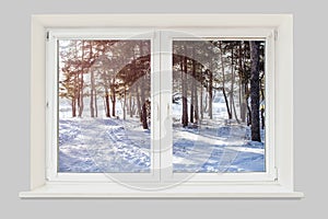 View from the window to the winter forest