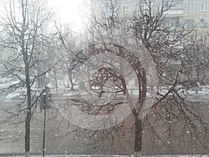 View from the window in winter