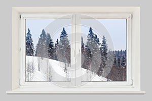 View from the window winter forest